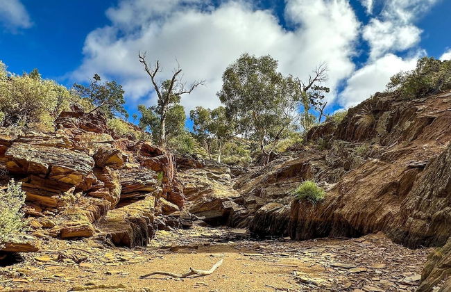 Bendleby Ranges - Foto 79