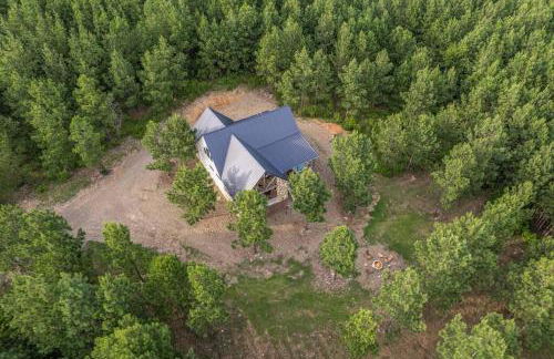 Double Arrow Cabin - Photo 42