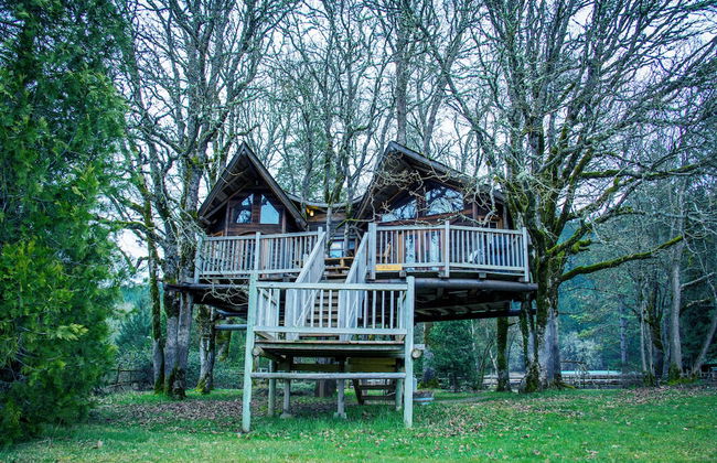 Out 'N' About Treehouse Treesort - Foto 7