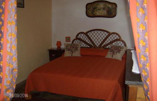 Gerani Rossi - Foto 27