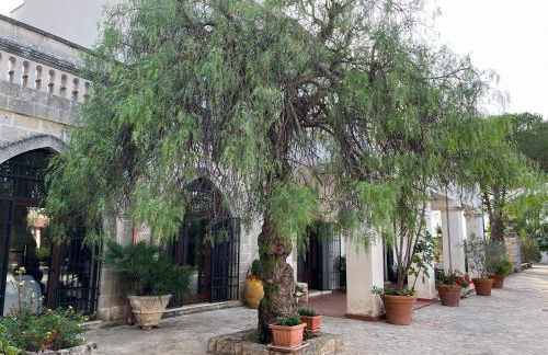 Masseria La Camardia - Foto 153