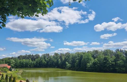 Premium House Osztynek - Foto 36