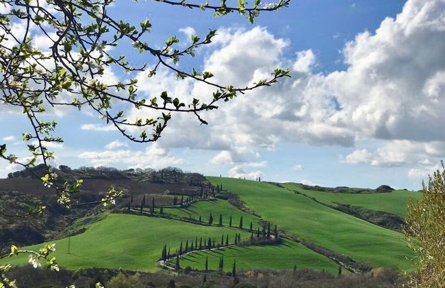 Azienda Agricola Chiarentana - Foto 47