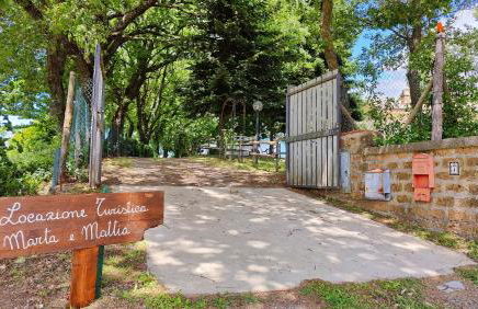 Locazione turistica nel verde Civita di Bagnoregio - Foto 6