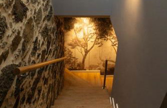 Ribeira Sacra a Orilla Rio Miño Casas do Pincelo - Foto 53