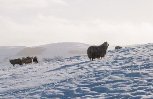 Lock View - Nordic Spa - Foto 29