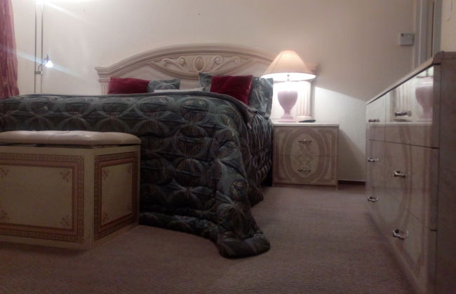 The Royal Princess Garden - Honeydew - Photo 14