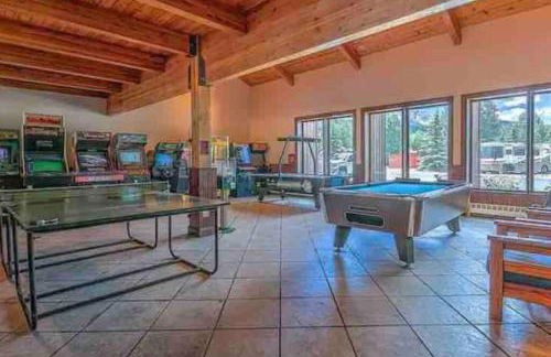 Sun & Snow Chalet Breckenridge, a dog lovers dream! - Foto 21