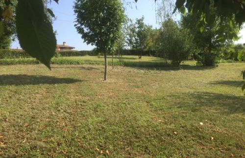 casa in campagna _LORI - Photo 23