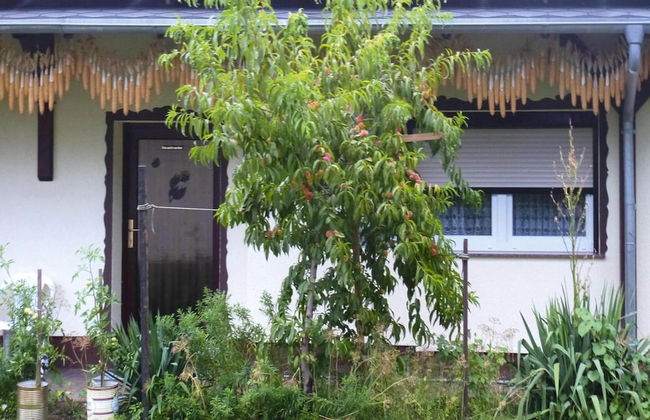 Reihenhaus in Lubben an der Spree - Foto 1