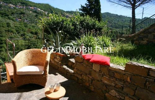 La Volpe e la Rosa - Foto 2