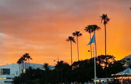 Spacious Luxury apt, 12 min walk to Croisette beach and Conf Centre - Foto 1