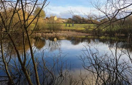 Pipistrelle Cottage a quirky gem near Snowdonia - Photo 20
