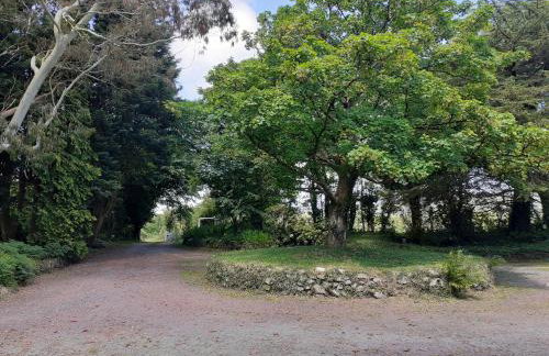 Swifts Nest - Foto 2