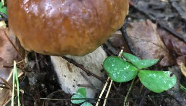 Zezuj Agroturystyka i Łowisko - Foto 3