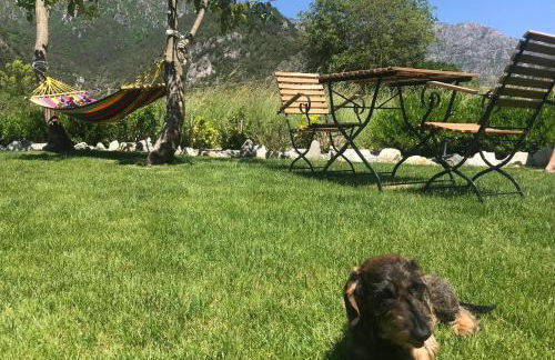 Dimora Natura-Riserva Naturale Valle di Bondo - Photo 23