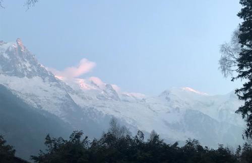 Rare, charmant T3 de 63m2, calme dans une maison, place de parking comprise - Photo 2