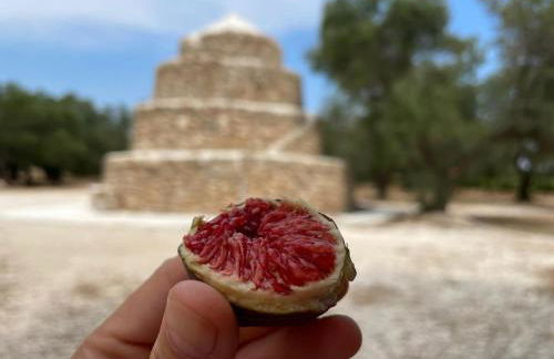 B&B Borgo Monacizzo - Foto 56