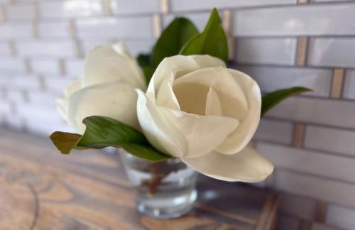 White Magnolia - Bakery Treats, Walk to Beach, Strand, Cruise, Pleasure Pier - Foto 56