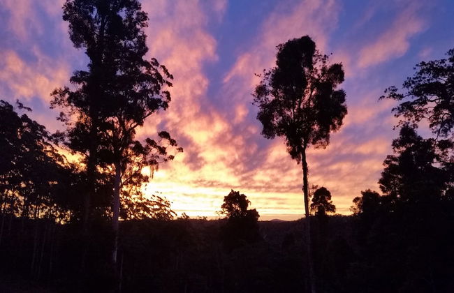 Bellthorpe Stays - Foto 49