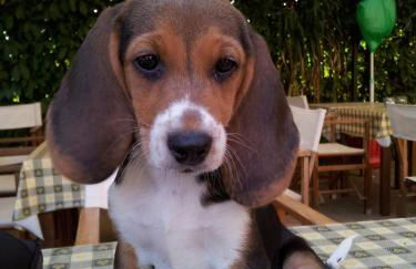 Agriturismo Le Clementine - Foto 52