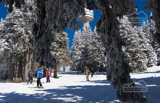 Mtn View Ski Apt - Sleeps4, Petok, 5 Min Ski Lift - Foto 19