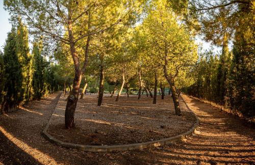 La Finca de Tomás - 5 Estrellas - Fútbol 7, Piscina Cubierta & Pádel - Foto 43