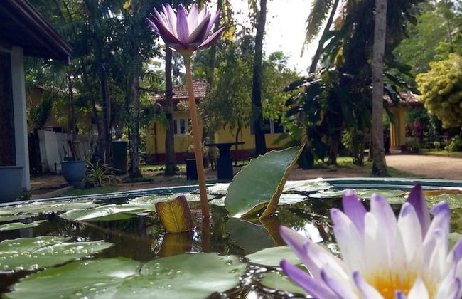 Shenya Villa - Photo 15