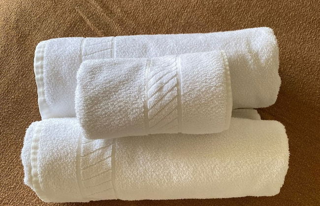 Flat Pipa Oceano - Foto 15