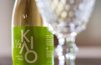 Palm Tree Beach Villa - Photo 29