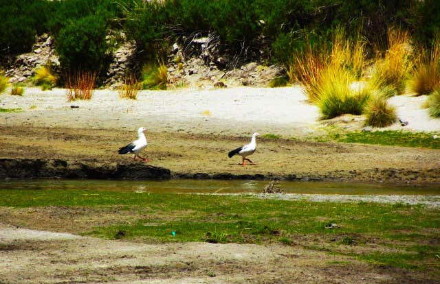 Hacienda Cayara & Villacolo Day Trip - Photo 4