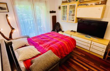 El refugio de la ardilla, apartamento Canfranc-estacion - Foto 31