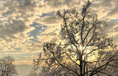 Les Perruchons ancienne grange rénovée avec soin - Foto 39