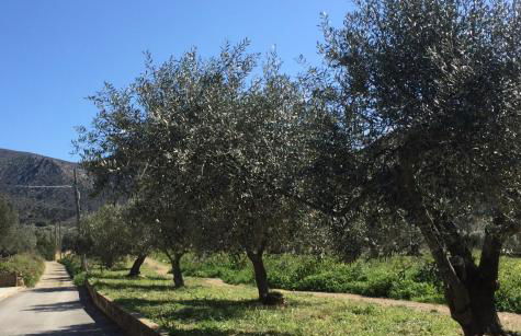 Appartement standing 58m plage à 3mn en voiture - Photo 34