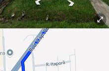 María de Nazaré Maracahipe Montelo - Photo 1