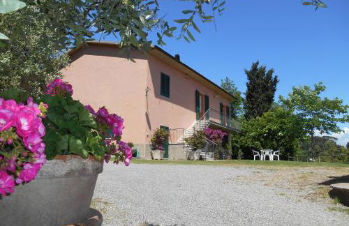 Agriturismo Il Loghino - Foto 17