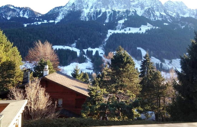 Cosy Chalet With top View - Foto 24