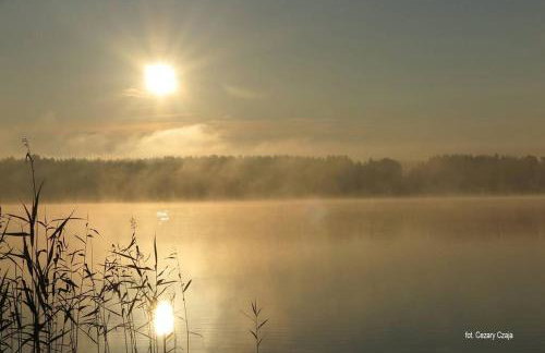 Drewniany domek nad jeziorem w Sitnie - Foto 18