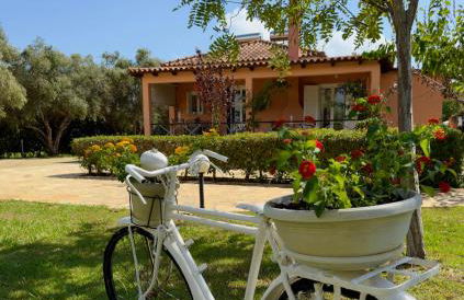 Evilion Ktima Argyropoulou - Photo 29