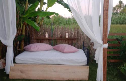 Konstantinos holidays house - Photo 42