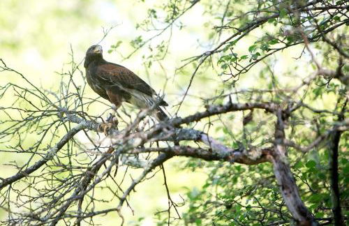 Historic Renovated Barn at Boorn Brook Farm - Manchester Vermont - Photo 36