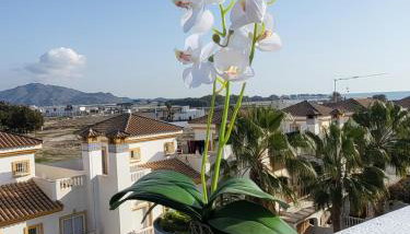 Ático dúplex en primera línea con piscina privada! - Foto 5