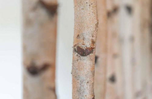 Ferienwohnung Rhön (Er) Leben - Foto 16