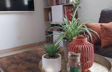 T3 avec jacuzzi privé exterieur - Foto 8