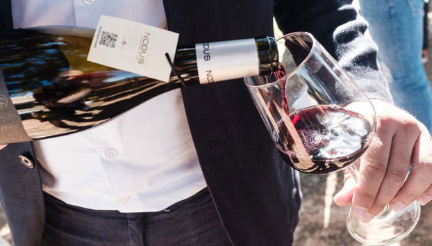 Bodegas Nodus Tour - Photo 5, Taste some local red wine