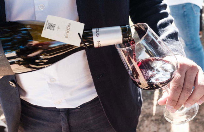 Bodegas Nodus Tour - Photo 5