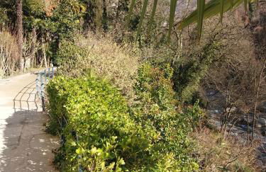 Apartment Haus Lang - Foto 42