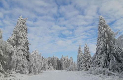 Lovely Apartment in Hesse - Foto 70