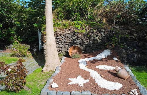 Prédio do Castelo - Photo 29