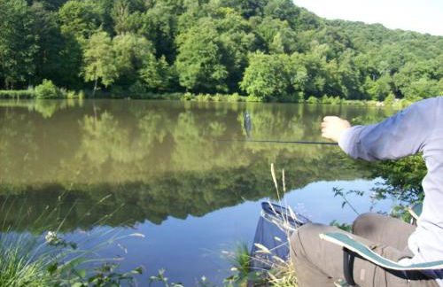 Le Chant des Oiseaux - Foto 17